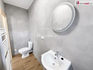 Pronájem bytu 2+1, Chabařovice, V Aleji, 40 m2