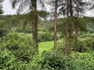 Prodej chaty, Doudleby, 75 m2