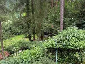 Prodej chaty, Doudleby, 75 m2
