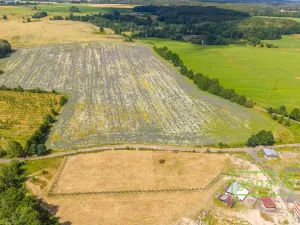 Prodej pozemku pro bydlení, Františkovy Lázně - Krapice, 1138 m2