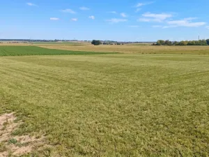 Prodej pozemku pro bydlení, Bělušice, 1380 m2