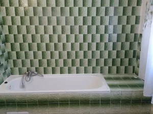 Pronájem bytu 1+1, Tršice - Hostkovice, 48 m2
