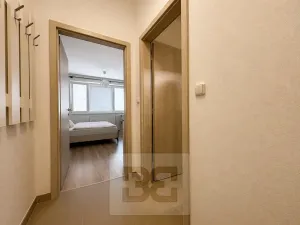Pronájem bytu 1+kk, Brno, Vranovská, 26 m2