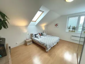 Pronájem rodinného domu, Trnová, 250 m2