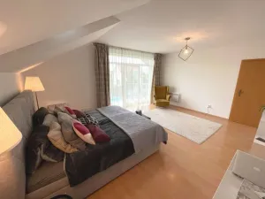 Pronájem rodinného domu, Trnová, 250 m2