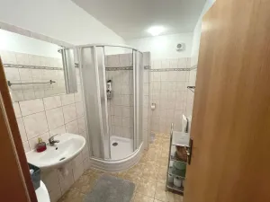 Pronájem rodinného domu, Trnová, 250 m2