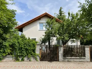 Pronájem rodinného domu, Trnová, 250 m2