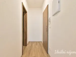 Pronájem bytu 1+kk, Brno, Svitavská, 33 m2