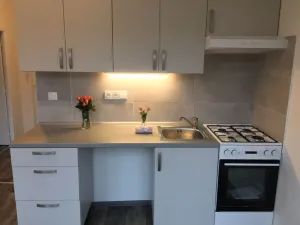 Pronájem bytu 1+1, Ostrava - Zábřeh, Výškovická, 38 m2