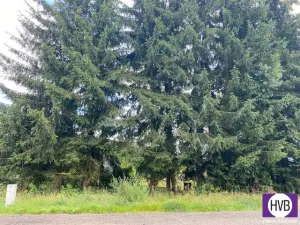 Prodej pozemku pro bydlení, Rotava, Sklenský vrch, 511 m2
