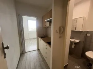 Pronájem bytu 1+1, Hodonín, Pančava, 14 m2