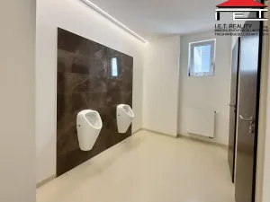 Pronájem kanceláře, Brno, Moravské náměstí, 35 m2