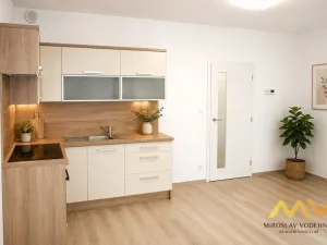Pronájem bytu 1+kk, Hradec Králové - Nový Hradec Králové, Jana Masaryka, 38 m2