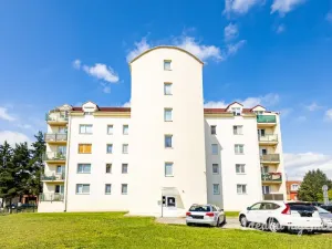 Pronájem bytu 1+1, České Budějovice - České Budějovice 2, Na Zlaté stoce, 45 m2