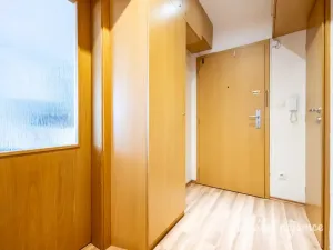 Pronájem bytu 1+1, České Budějovice - České Budějovice 2, Na Zlaté stoce, 45 m2