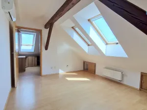 Prodej bytu 4+1, Brno - Královo Pole, Skácelova, 171 m2
