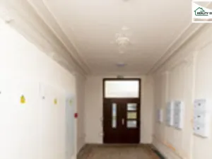 Pronájem bytu 4+1, Cheb, Evropská, 163 m2