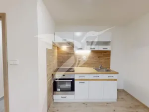Pronájem bytu 1+kk, Starý Plzenec, Masarykovo náměstí, 29 m2