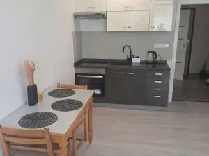 Pronájem bytu 1+kk, Týn nad Vltavou, Komenského, 20 m2