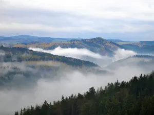 Prodej kanceláře, Karlovy Vary, Šumavská, 78 m2