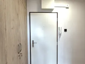 Prodej bytu 1+kk, Praha - Karlín, Nekvasilova, 29 m2
