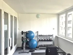 Prodej bytu 1+kk, Praha - Karlín, Nekvasilova, 29 m2