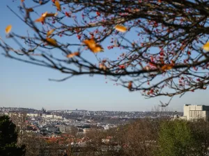Prodej bytu 3+kk, Praha, Jana Želivského, 77 m2