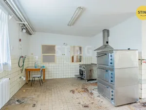 Prodej výrobních prostor, Blížejov, Nádražní, 5979 m2