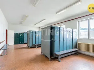 Prodej výrobních prostor, Blížejov, Nádražní, 5979 m2