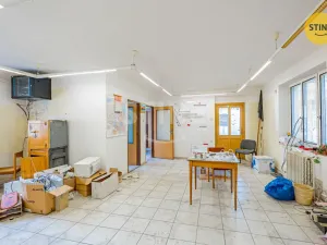 Prodej výrobních prostor, Blížejov, Nádražní, 5979 m2