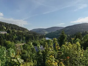 Prodej bytu 4+kk, Špindlerův Mlýn - Bedřichov, 71 m2