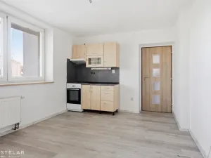 Pronájem bytu 1+kk, Opava, 28. října, 28 m2