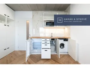 Pronájem bytu 1+kk, Brno, Chaloupkova, 23 m2