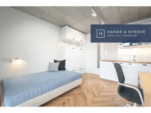 Pronájem bytu 1+kk, Brno, Chaloupkova, 23 m2
