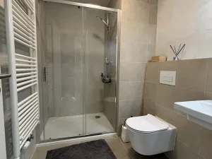 Pronájem bytu 1+kk, Beroun, U Židovského hřbitova, 29 m2
