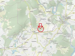 Prodej lesa, Všemyslice, 12022 m2