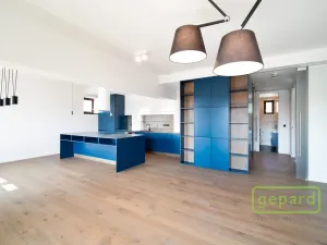 Pronájem bytu 3+kk, Praha - Vinohrady, Perucká, 120 m2
