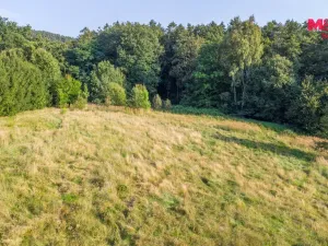 Prodej louky, Nový Bor - Janov, 5500 m2