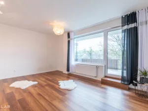Pronájem bytu 1+kk, Hranice - Hranice I-Město, Pod Nemocnicí, 43 m2