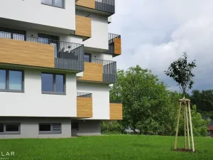 Pronájem bytu 1+kk, Hranice - Hranice I-Město, Pod Nemocnicí, 43 m2