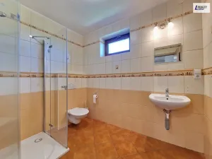 Pronájem rodinného domu, Příbram - Žežice, 172 m2