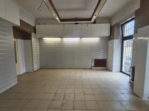 Pronájem obchodního prostoru, Praha, Braunerova, 67 m2