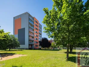 Prodej bytu 4+1, Mladá Boleslav, Mládežnická, 78 m2