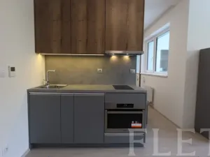 Pronájem bytu 1+kk, Praha - Holešovice, V háji, 38 m2