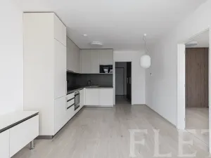 Pronájem bytu 2+kk, Praha - Žižkov, Hartigova, 47 m2