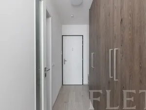Pronájem bytu 2+kk, Praha - Žižkov, Hartigova, 47 m2