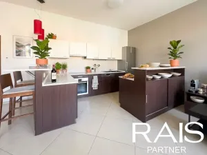 Prodej bytu 2+kk, Brno, Svitavská, 79 m2