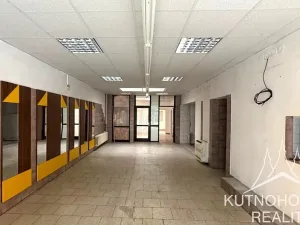 Pronájem výrobních prostor, Kutná Hora, Dolní, 262 m2