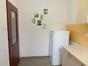 Pronájem obchodního prostoru, Brněnec, 238 m2