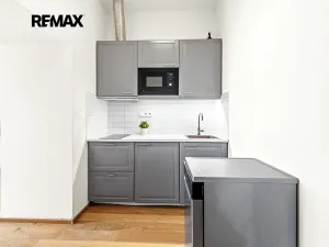 Prodej bytu 1+1, Praha - Karlín, Prvního pluku, 39 m2